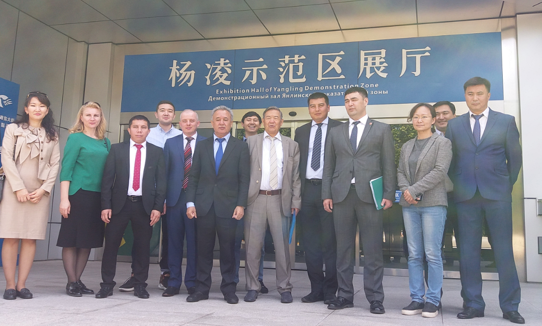 QQ截图20180511161002.png