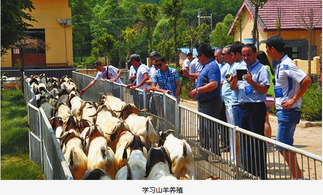 1517209897146038751.png QQ图片20180129150953.png