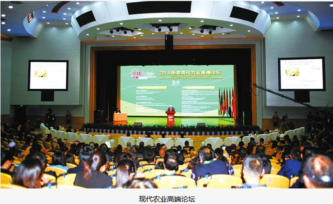 1517209859277041241.png QQ图片20180129150840.png