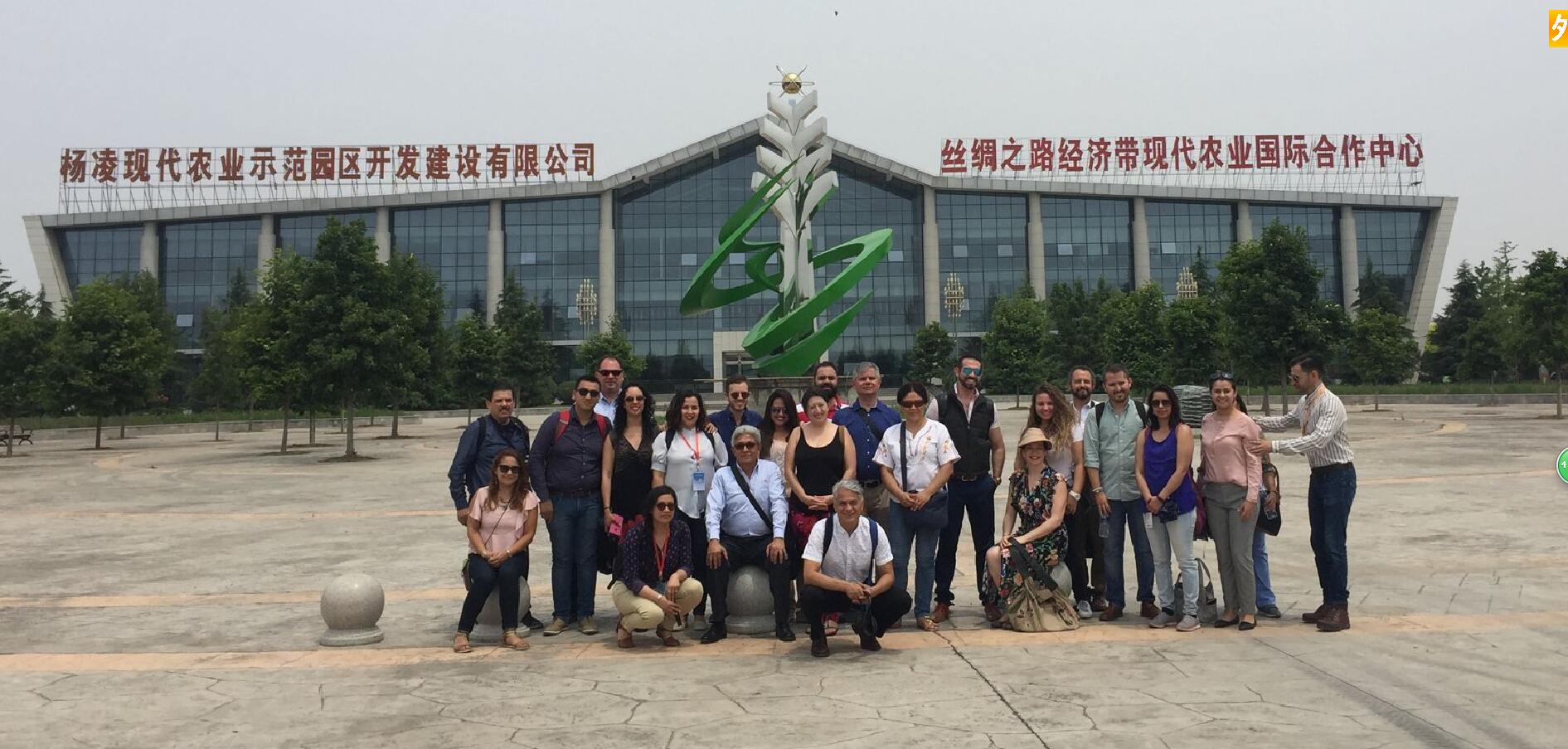 QQ图片20170620085158.jpg